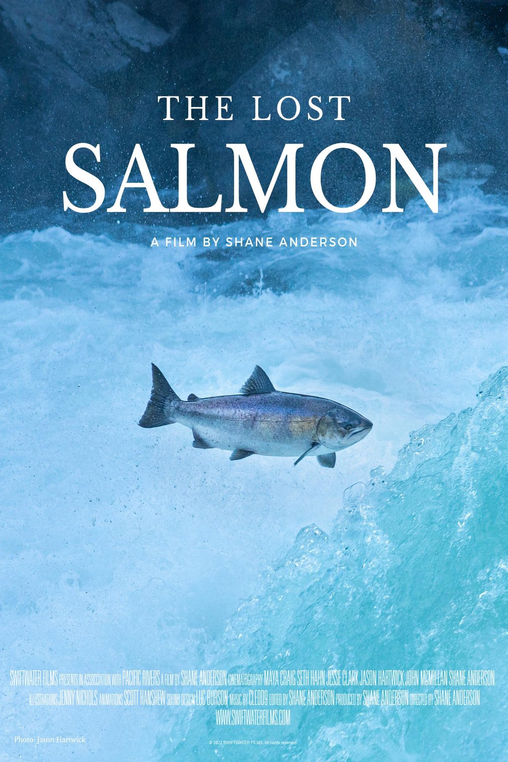 Poster of the movie The Lost Salmon