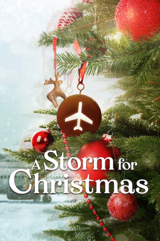 Poster of the movie A Storm for Christmas [2022]