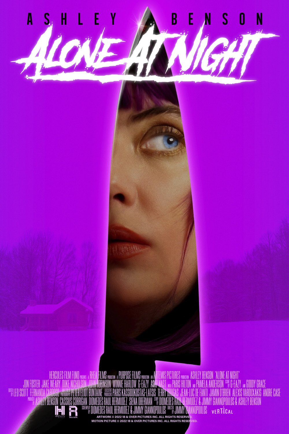 L'affiche du film Alone at Night