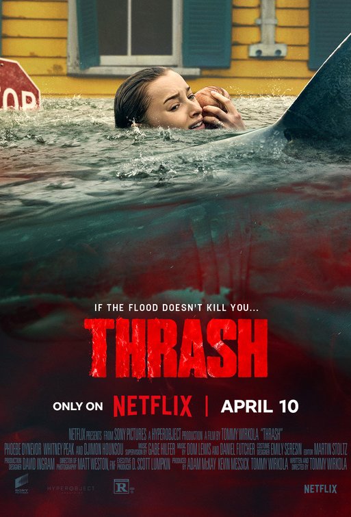 Poster of the movie Shiver [2026]