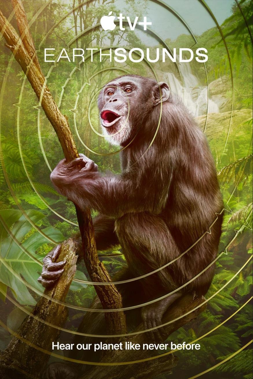 L'affiche du film Earthsounds [2024]