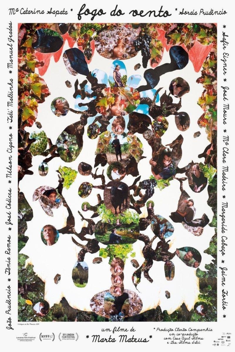 Poster of the movie Fogo do Vento