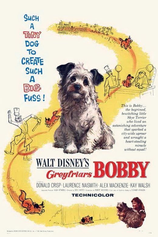 L'affiche originale du film Greyfriars Bobby: The True Story of a Dog en anglais