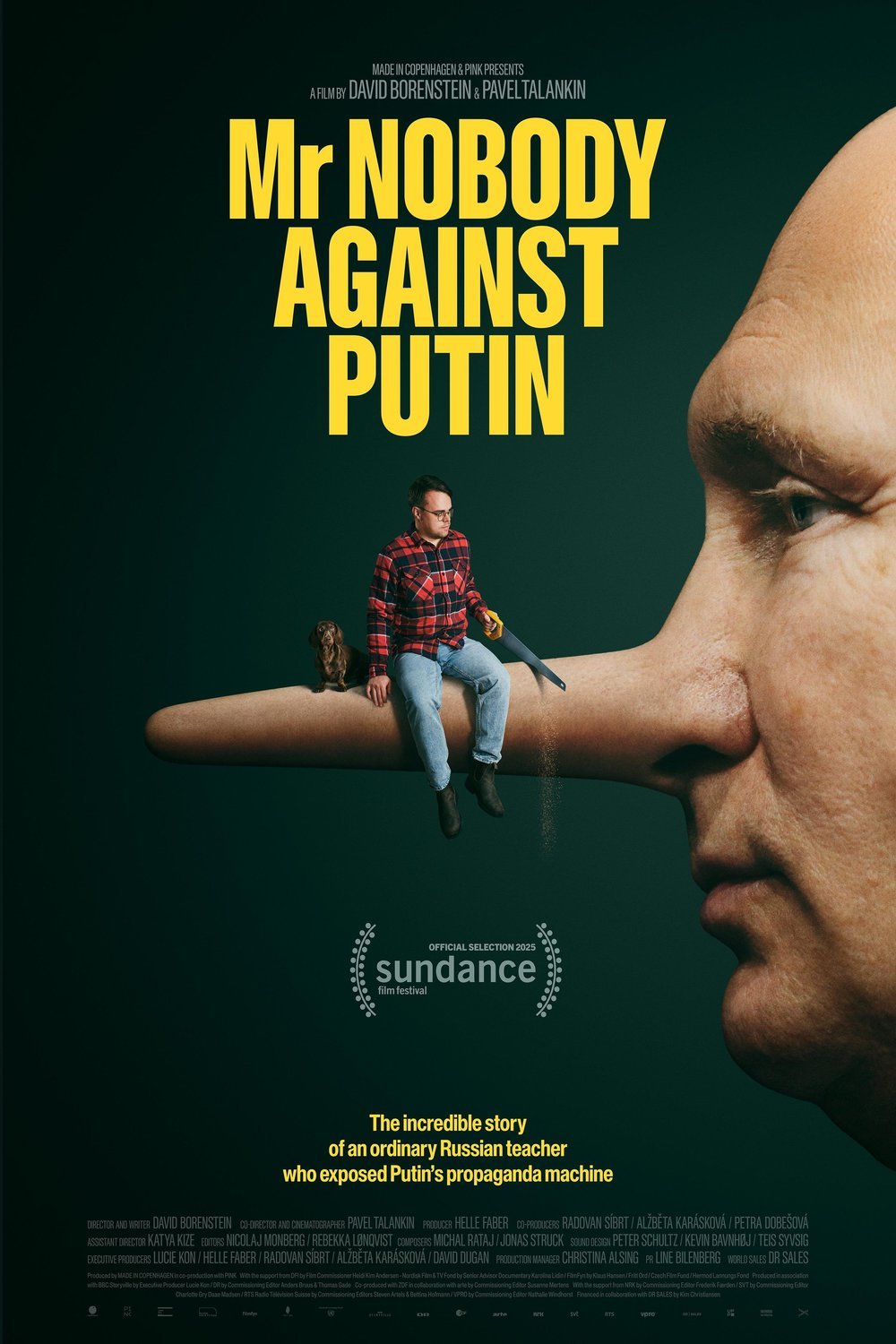 Poster of the movie Mr. Nobody Against Putin