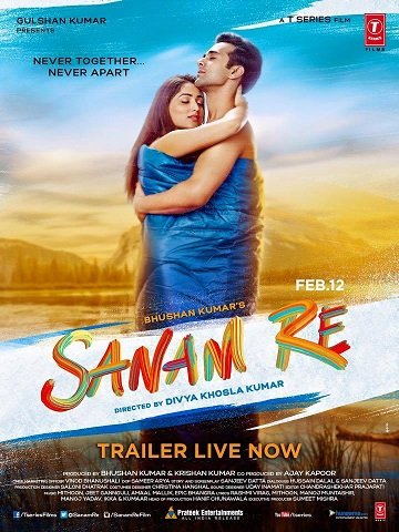 L'affiche originale du film Sanam Re en Hindi