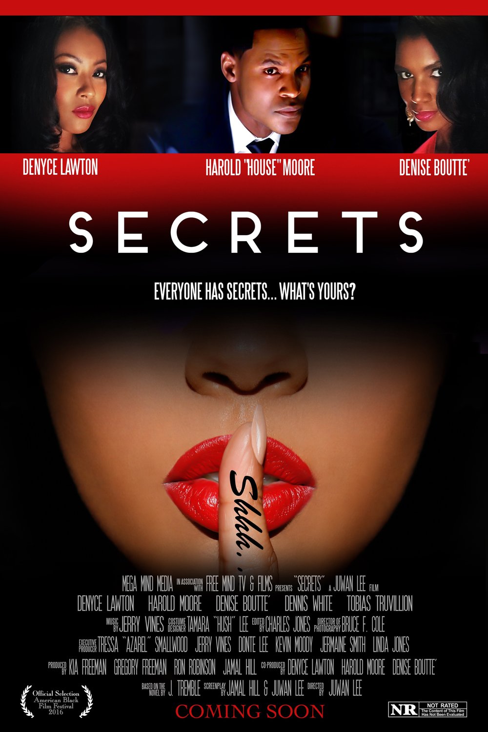 Poster of the movie Secrets