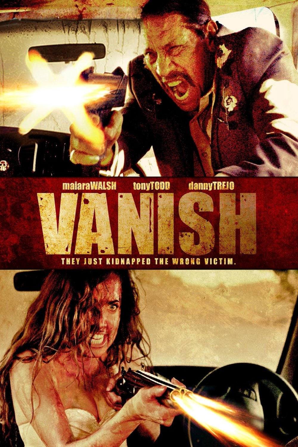 Poster of the movie VANish