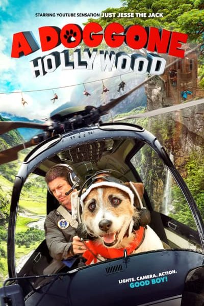 L'affiche du film A Doggone Hollywood