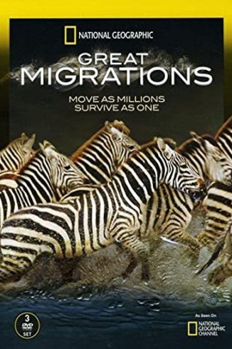 L'affiche du film Great Migrations