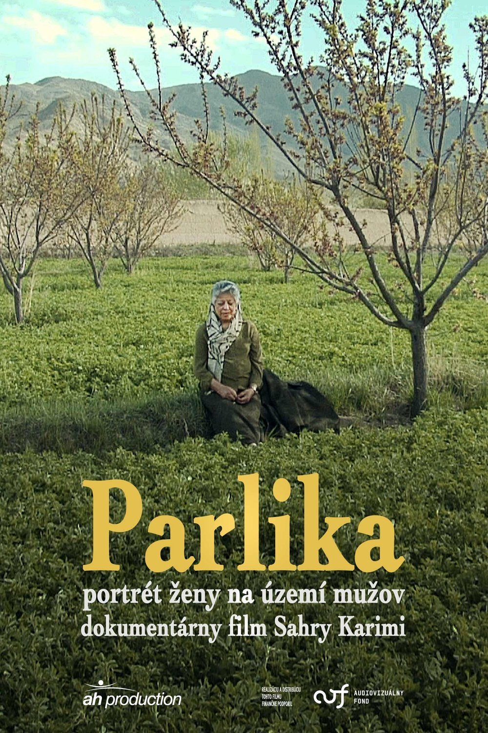 Poster of the movie Parlika [2016]