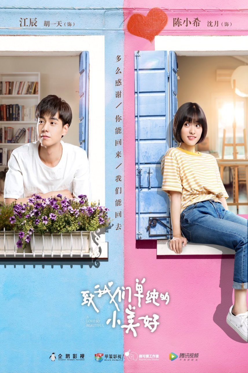 Poster of the movie A Love So Beautiful