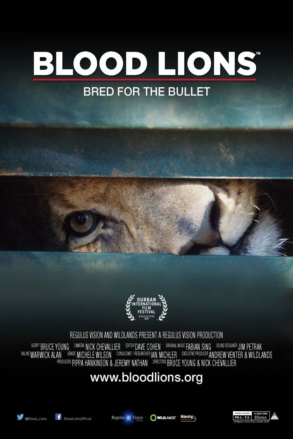 Poster of the movie Blood Lions