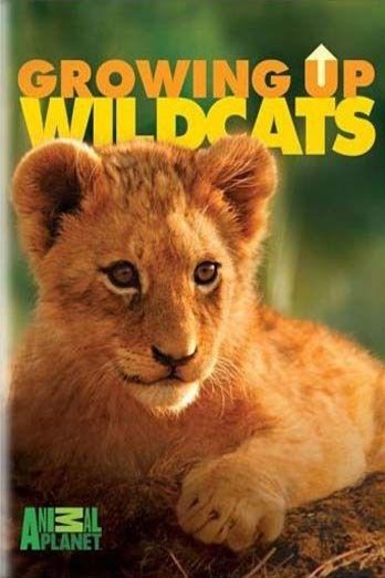 Poster of the movie Growing Up Wild
