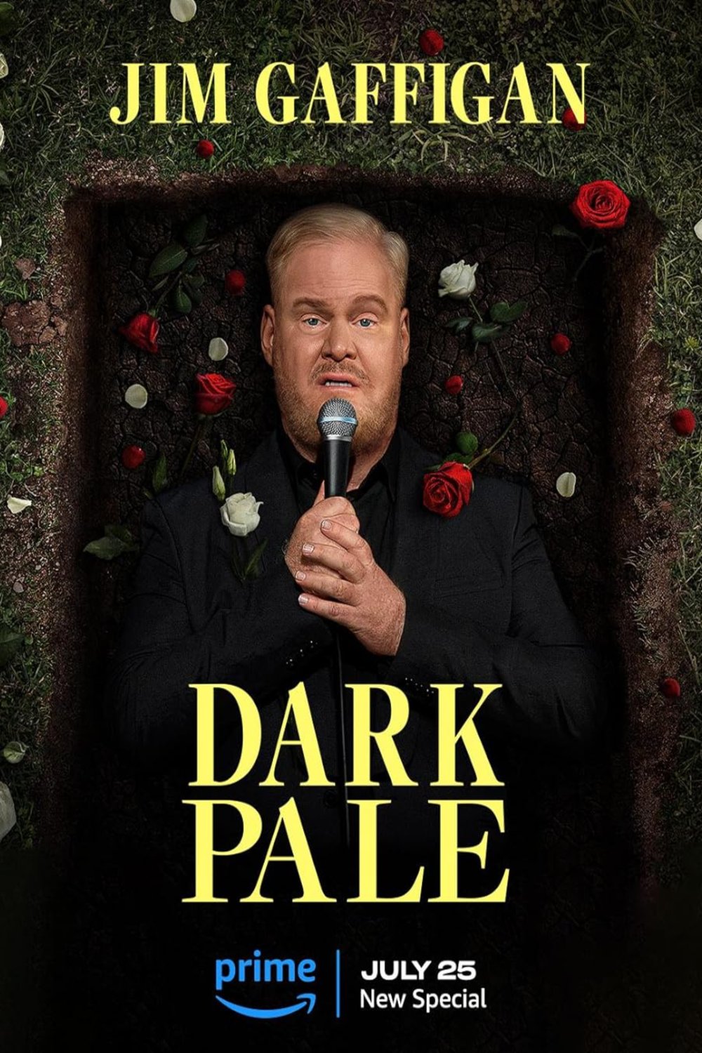 Poster of the movie Jim Gaffigan: Dark Pale