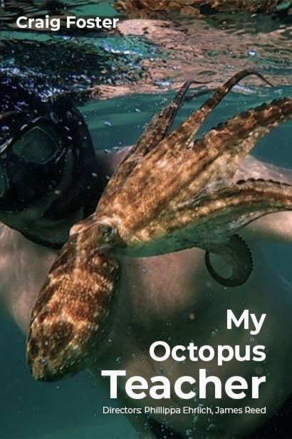 L'affiche du film My Octopus Teacher