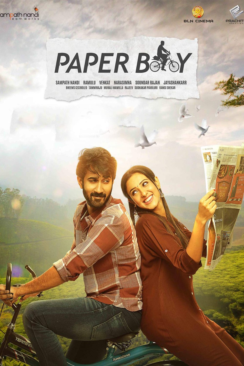 L'affiche du film Paper Boy