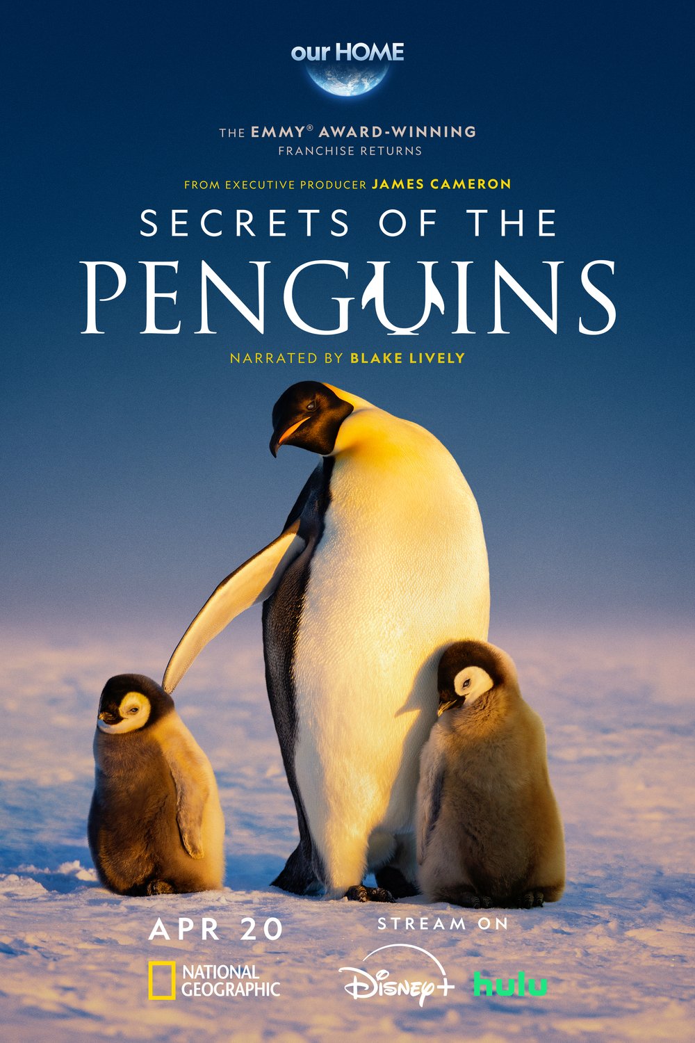 L'affiche du film Secrets of the Penguins [2025]