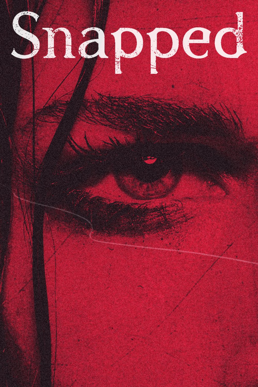 Poster of the movie Snapped