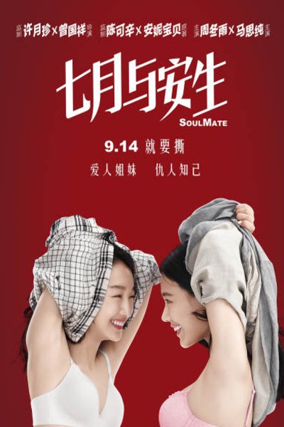 L'affiche originale du film SoulMate en mandarin