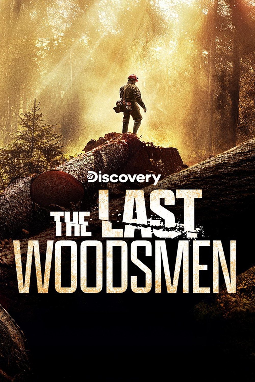 L'affiche du film The Last Woodsmen [2024]