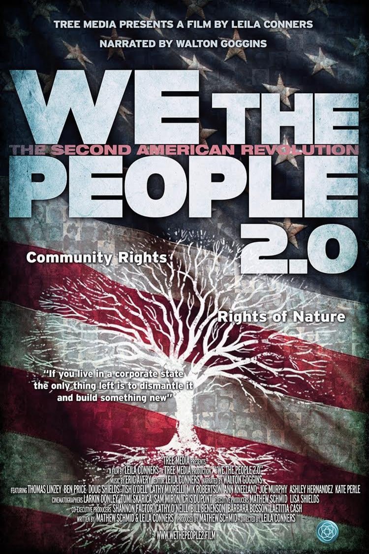 Poster of the movie We the People 2.0