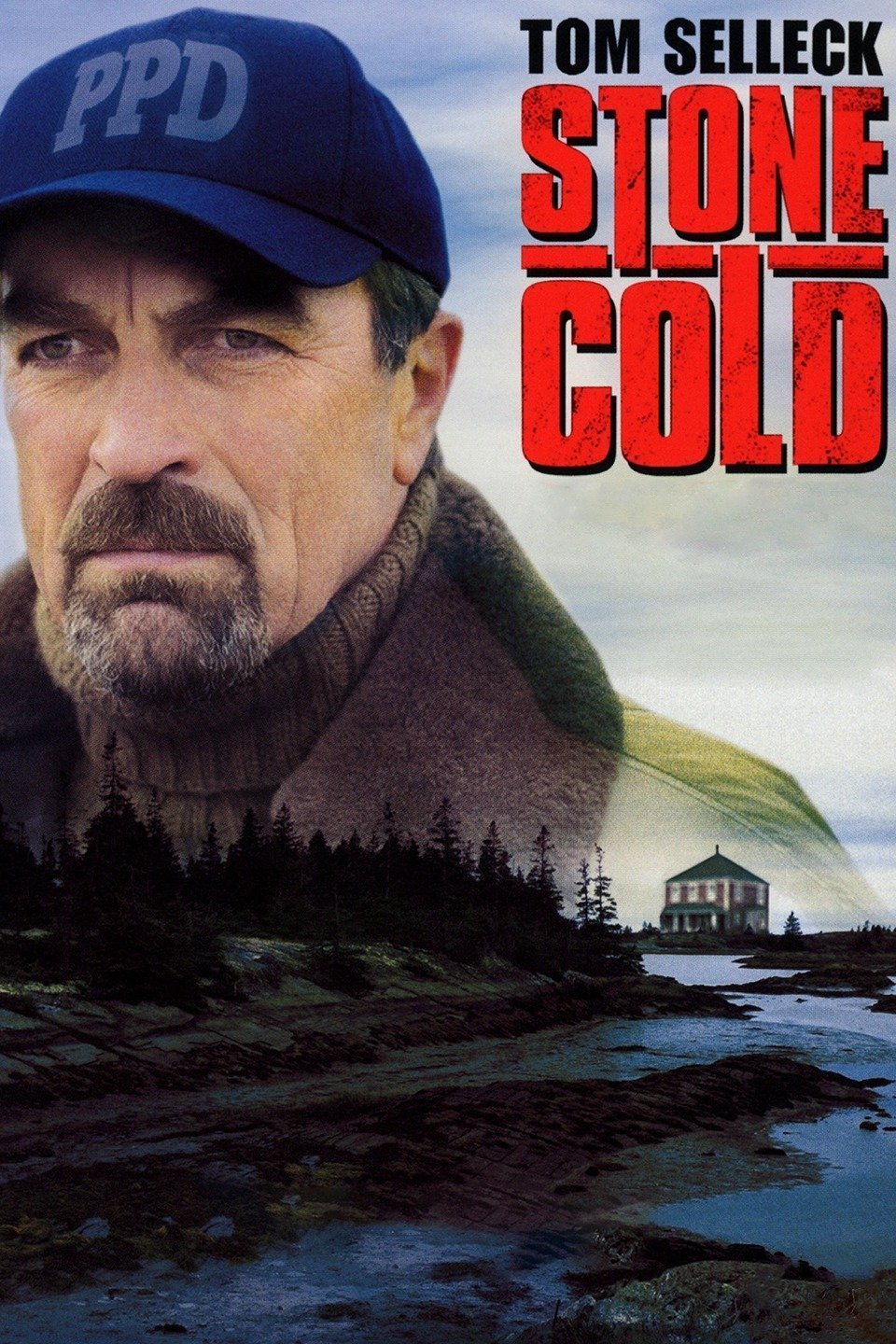 L'affiche du film Stone Cold