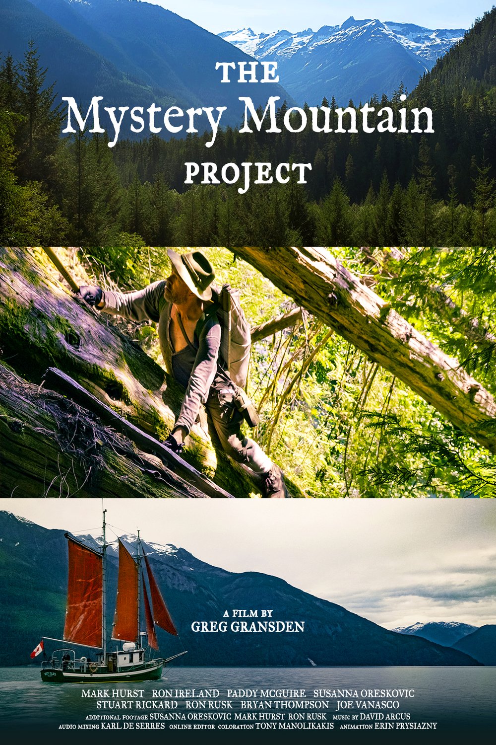 Poster of the movie The Mystery Mountain Project