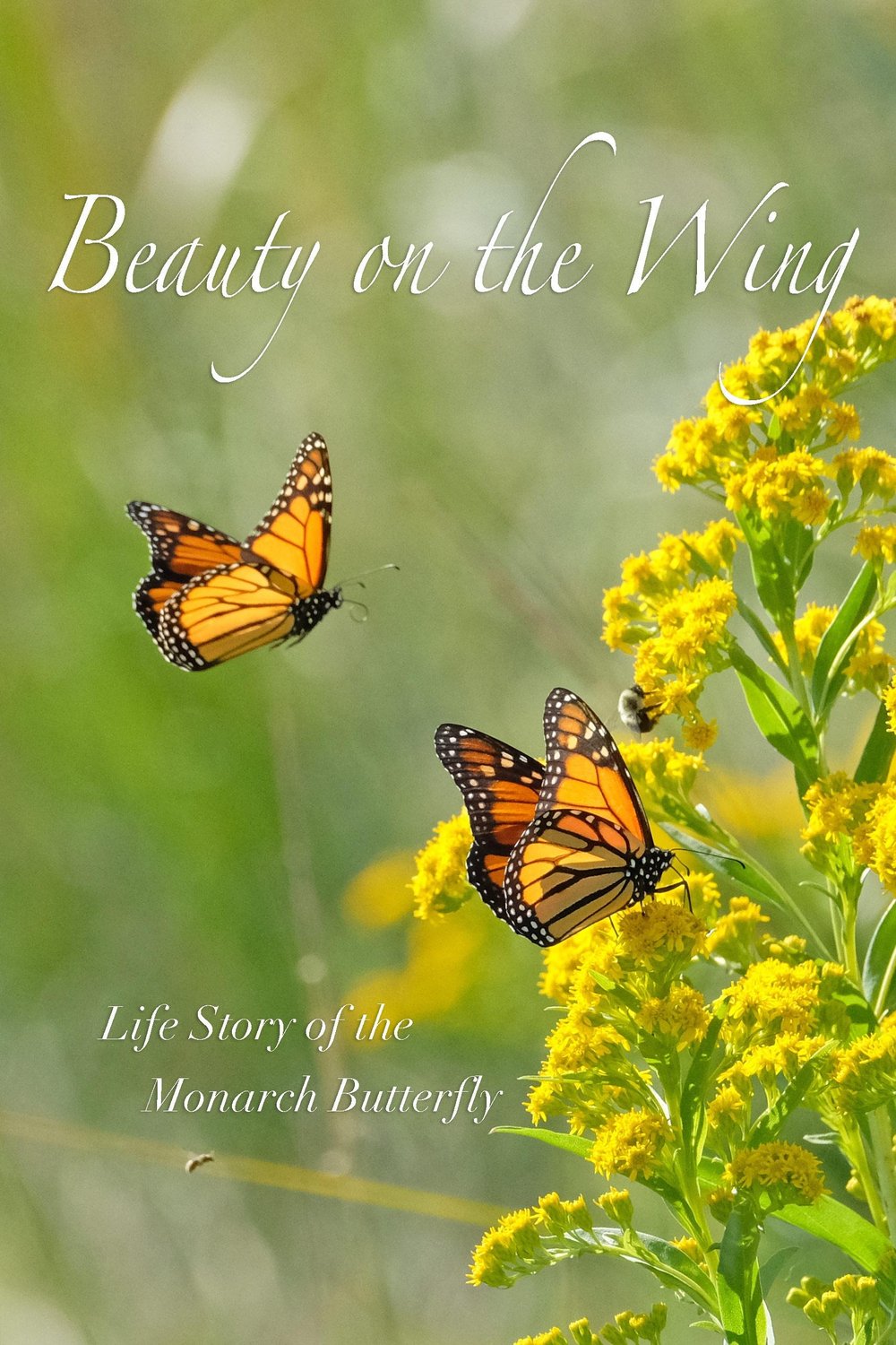 Poster of the movie Beauty on the Wing: Life Story of the Monarch Butterfly
