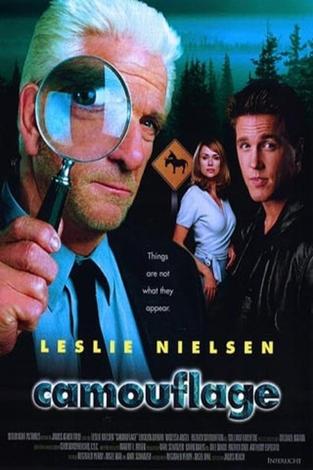 Poster of the movie Camouflage