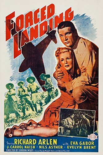 Poster of the movie Forced Landing