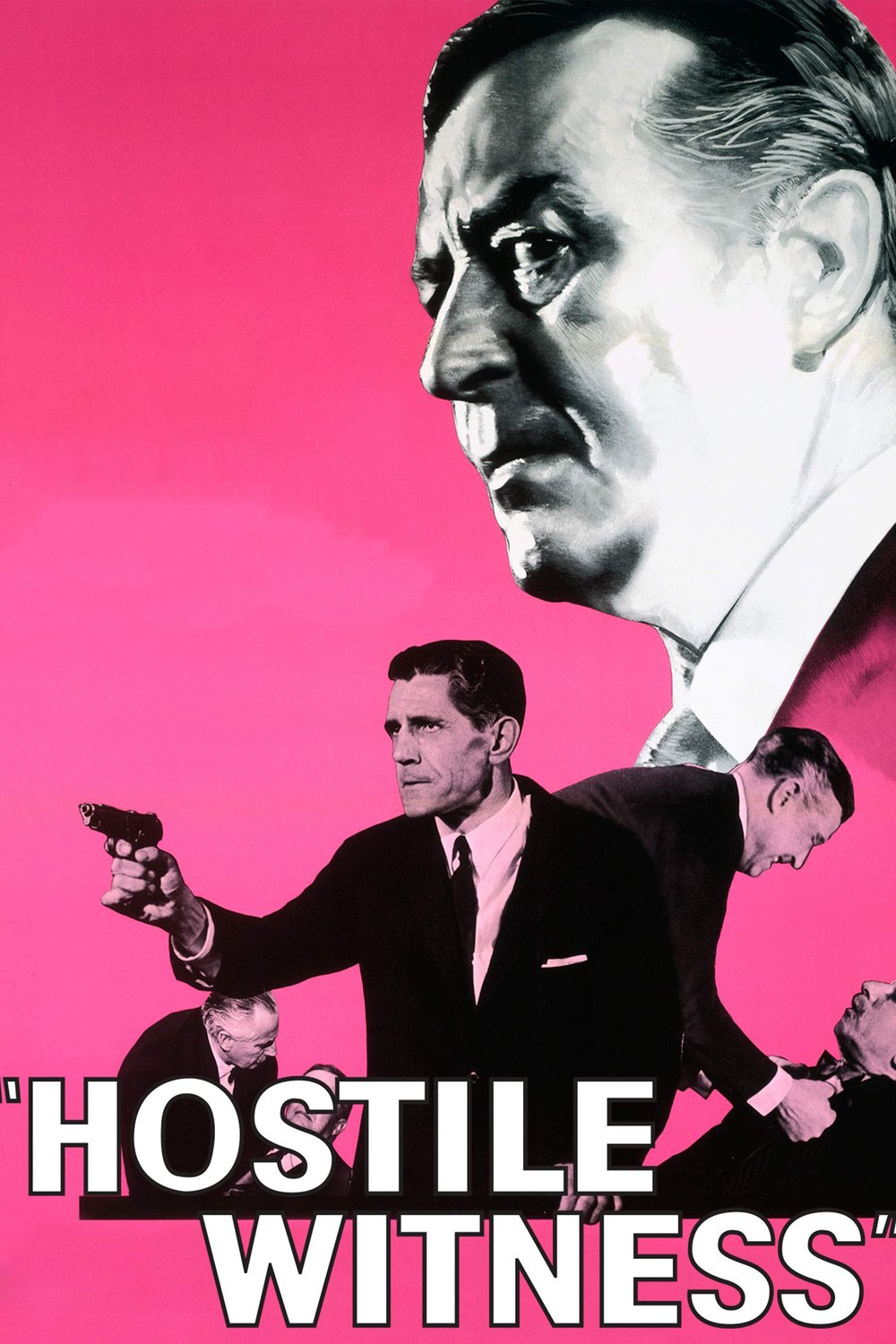 Poster of the movie Hostile Witness