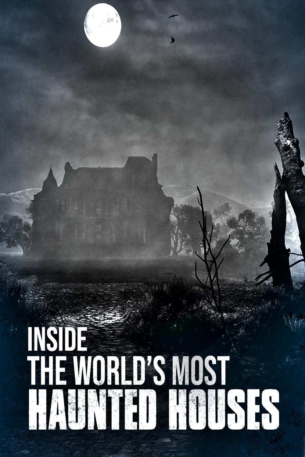 Inside the World's Most Haunted Houses [2020] (2020) by Joseph Mazzaferro