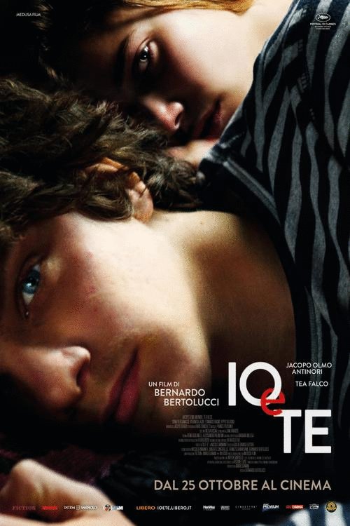Italian poster of the movie Io e te