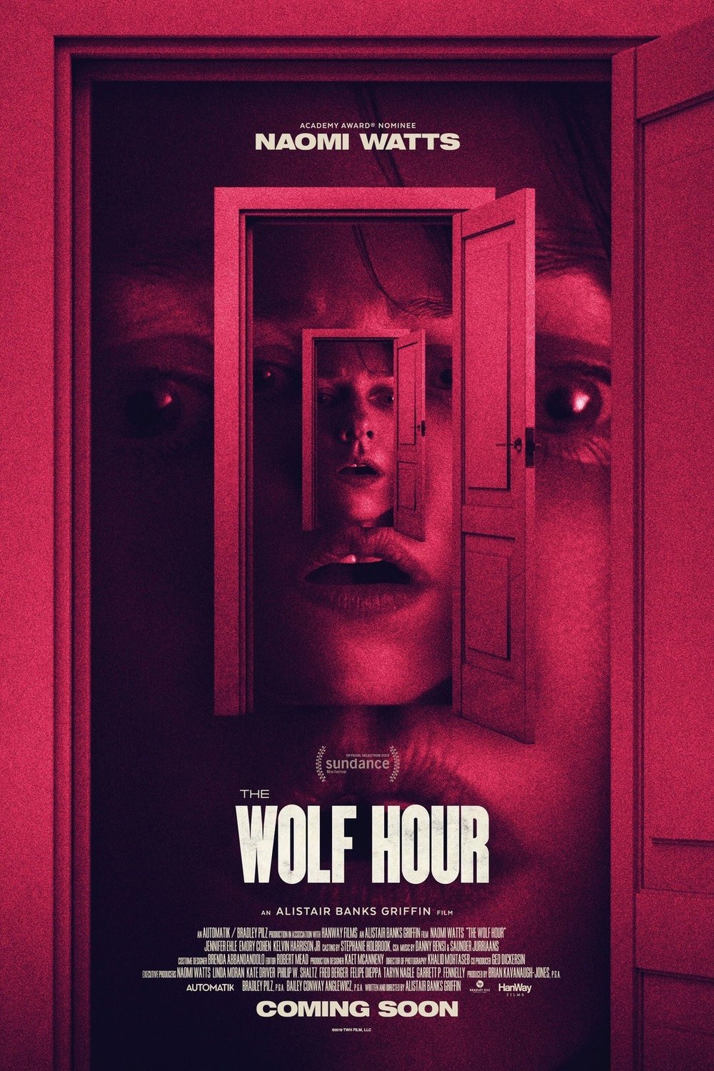 Poster of the movie The Wolf Hour [2019]