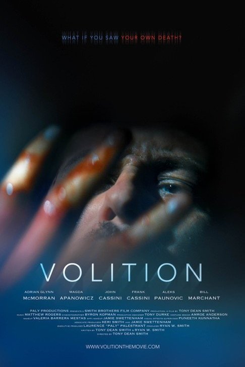 L'affiche du film Volition