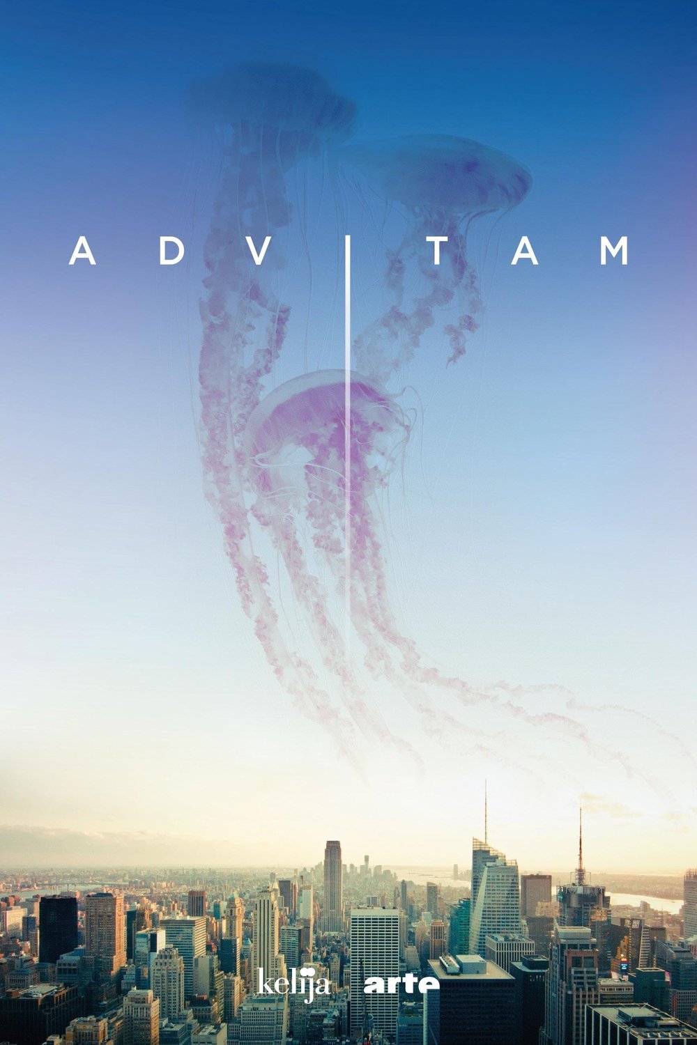L'affiche du film Ad Vitam