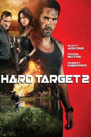 L'affiche du film Hard Target 2
