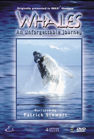 L'affiche du film Whales: An Unforgettable Journey