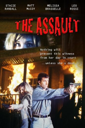 L'affiche du film The Assault
