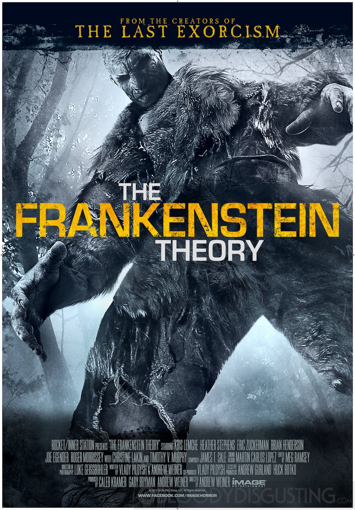 L'affiche du film The Frankenstein Theory