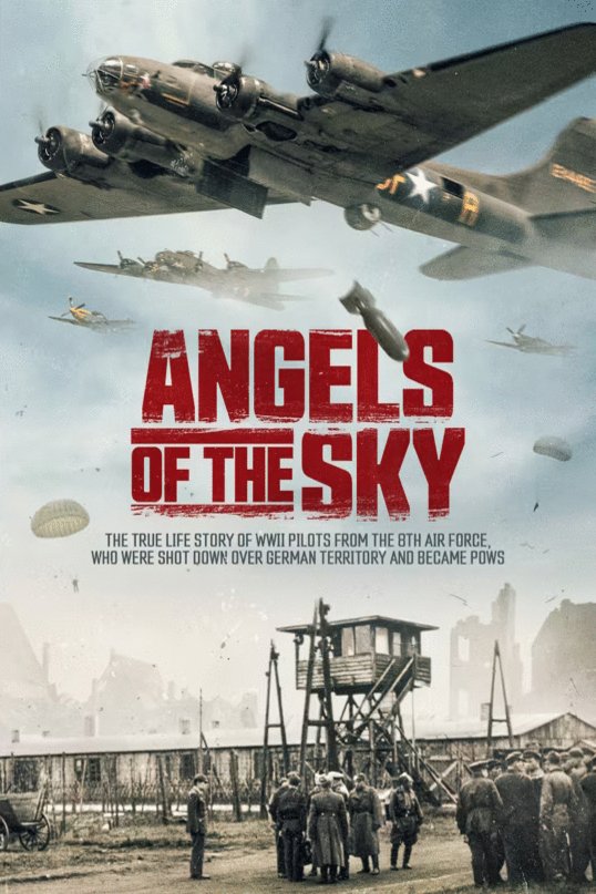 L'affiche du film Angels of the Sky [2022]