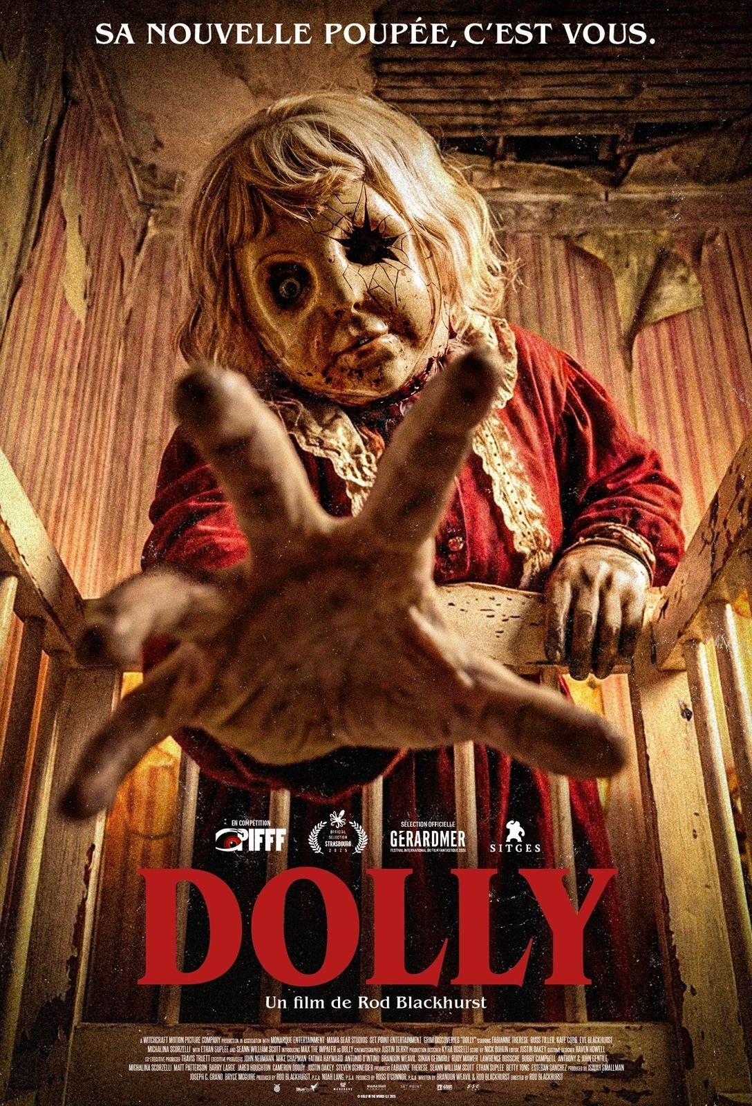 Poster of the movie Dolly v.f.