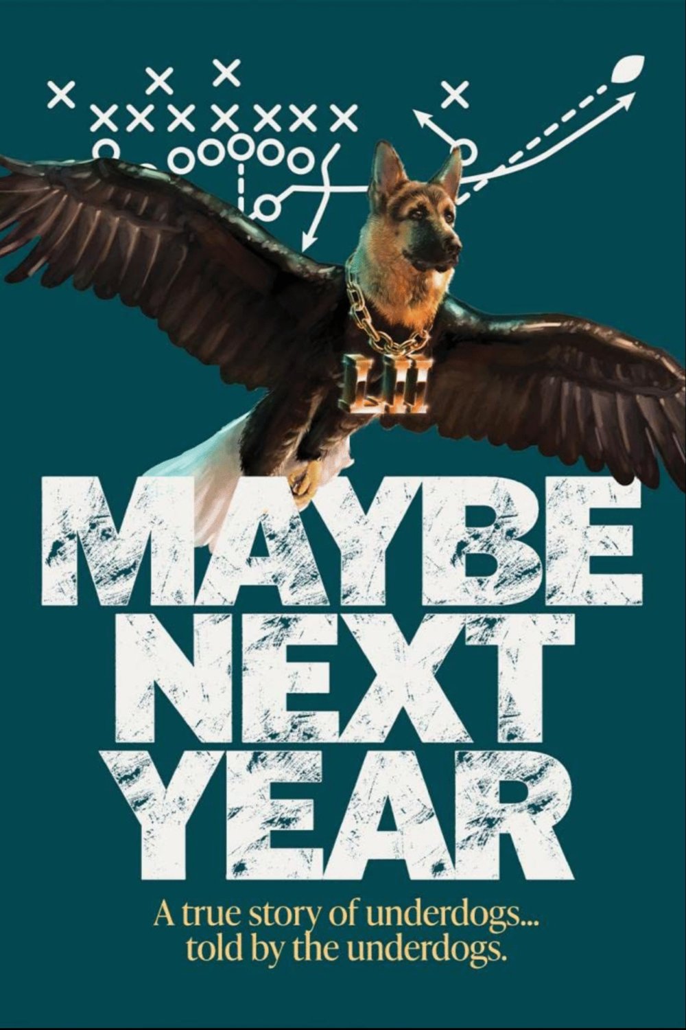 L'affiche du film Maybe Next Year