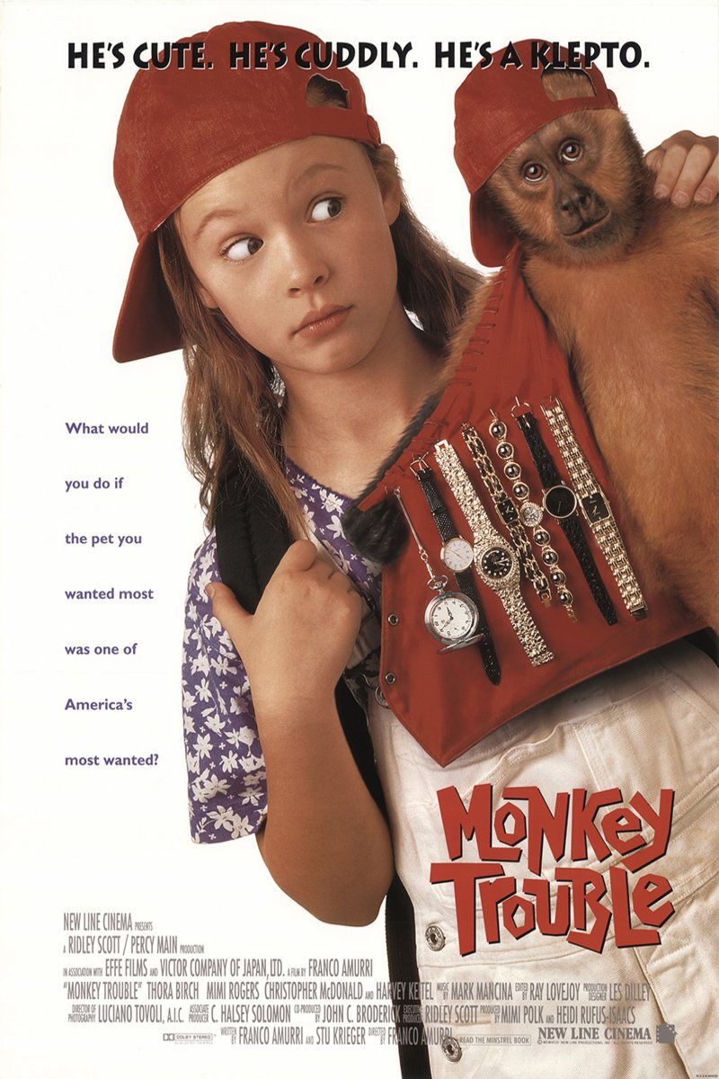 L'affiche du film Monkey Trouble
