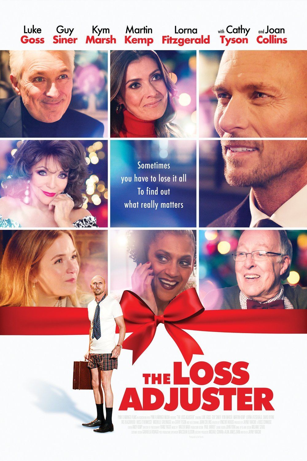 L'affiche du film The Loss Adjuster