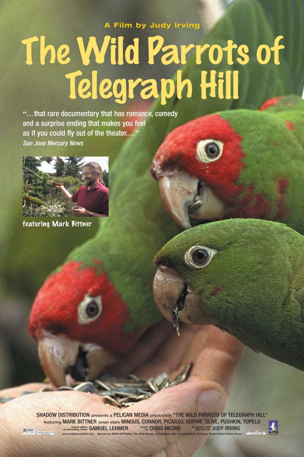 L'affiche du film The Wild Parrots of Telegraph Hill