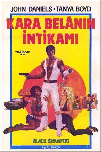 Poster of the movie Black Shampoo [1976]