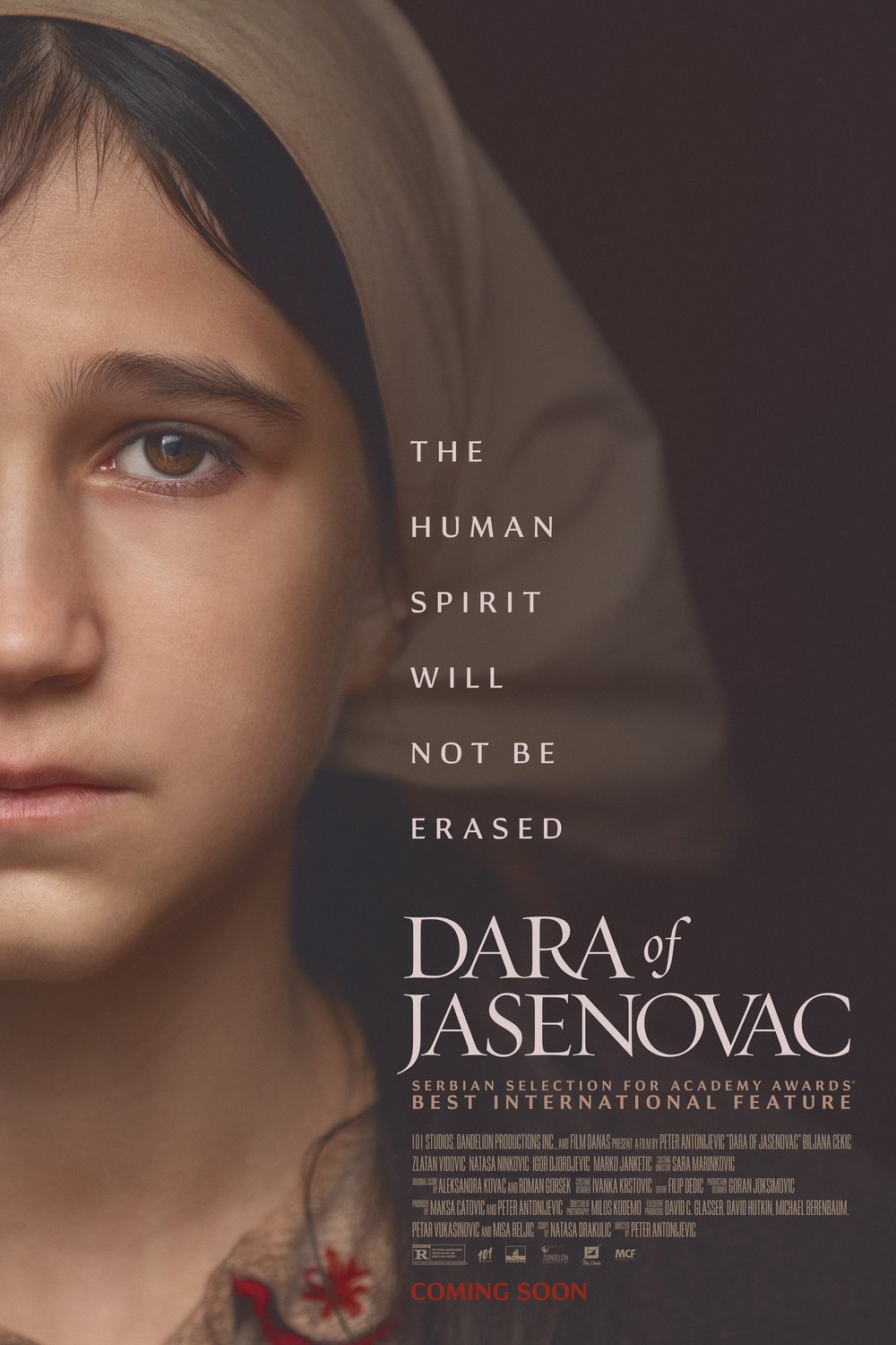 Serbian poster of the movie Dara of Jasenovac