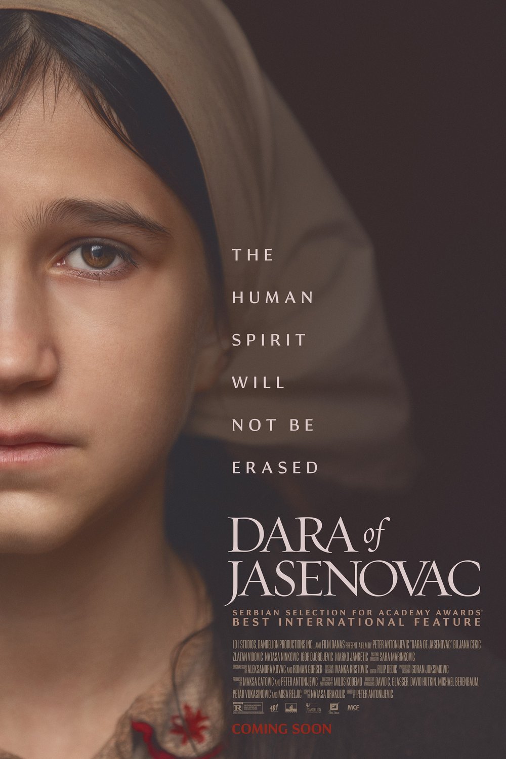Poster of the movie Dara iz Jasenovca [2020]