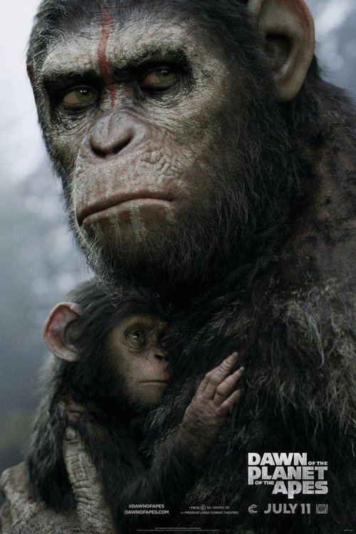L'affiche du film L'Aube de la planète des singes